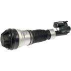 Suspension Strut Assembly