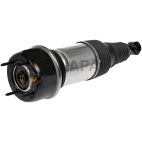 Suspension Strut Assembly