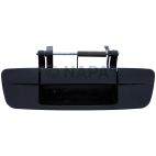Tailgate Handle