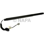 Liftgate Cylinder