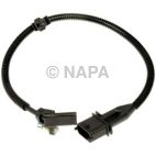 Engine Crankshaft Position Sensor