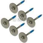 Body Mount Cushion Bolt