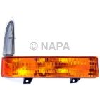 Turn Signal / Parking Light Assembly