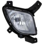 Fog Light Assembly