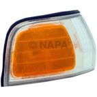 Turn Signal / Parking Light Assembly