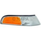 Turn Signal / Parking Light Assembly