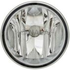Fog Light Assembly