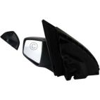 Door Mirror