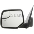 Door Mirror
