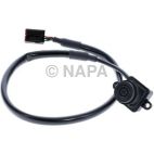 Park Assist Camera