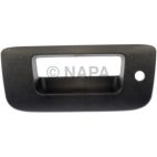 Tailgate Handle Bezel
