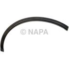 Engine Oil Pan Gasket