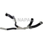 Engine Oil Cooler Line