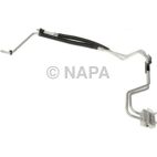 Engine Oil Cooler Line