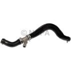 Radiator Coolant Hose