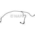 Radiator Coolant Hose