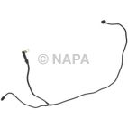 Radiator Coolant Hose