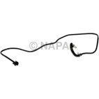 Radiator Coolant Hose