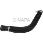 Radiator Coolant Hose