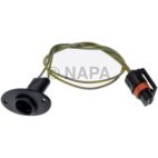 License Plate Light Socket