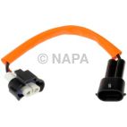 Headlight Socket