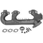 Exhaust Manifold