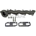Exhaust Manifold