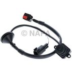 Park Assist Camera
