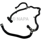 Radiator Coolant Hose