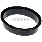 Fuel Pump Tank Seal