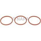 Engine Oil Cooler Adapter Seal