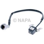 Park Assist Camera