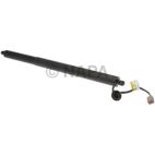 Liftgate Lift / Pull Down Motor