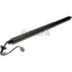 Liftgate Lift / Pull Down Motor