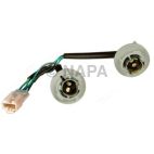 Combination Light Socket