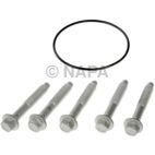 Axle Bolt
