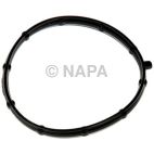 Vacuum Pump Gasket