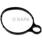Vacuum Pump Gasket
