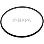 Transfer Case Adapter Seal