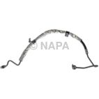 Power Steering Pressure Hose