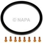 Fuel Tank Sending Unit Lock Ring