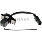 Park Assist Camera