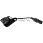 Park Assist Camera