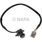Park Assist Camera