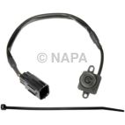 Park Assist Camera