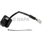 Park Assist Camera