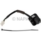 Park Assist Camera