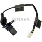 Park Assist Camera