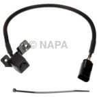 Park Assist Camera