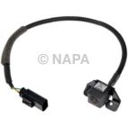 Park Assist Camera